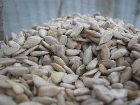 Sunflower Seeds