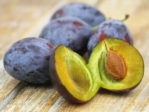 Plum
