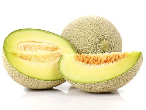 Honeydew