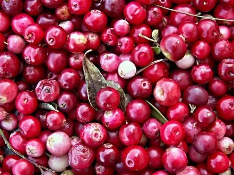 Cranberries, Raw