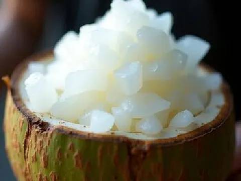Coconut Meat