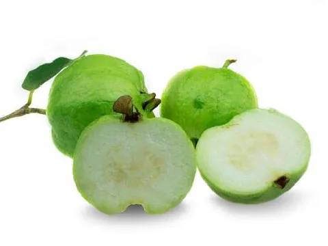 Guava