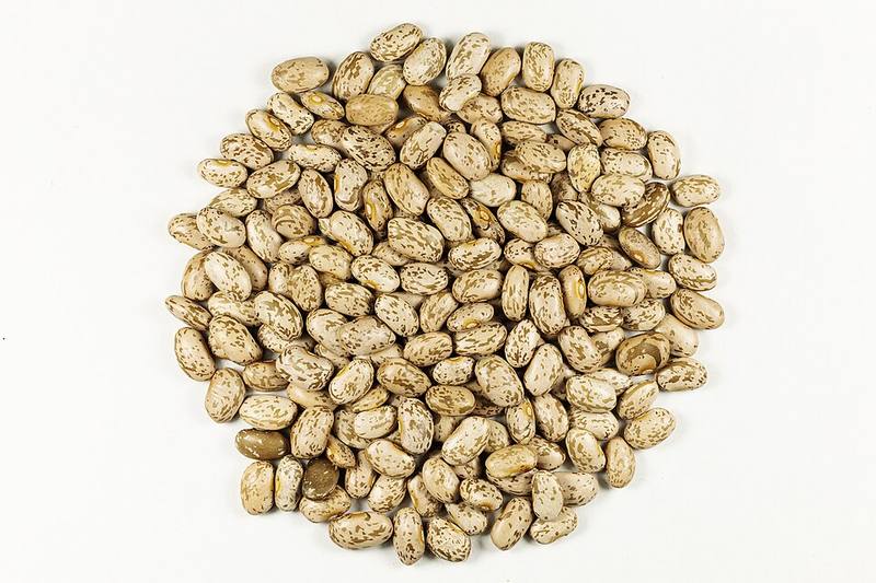 Pinto Beans