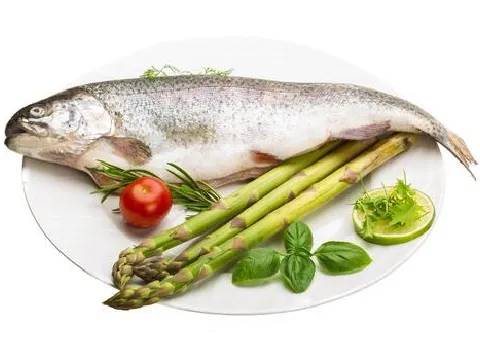 Trout (Rainbow)