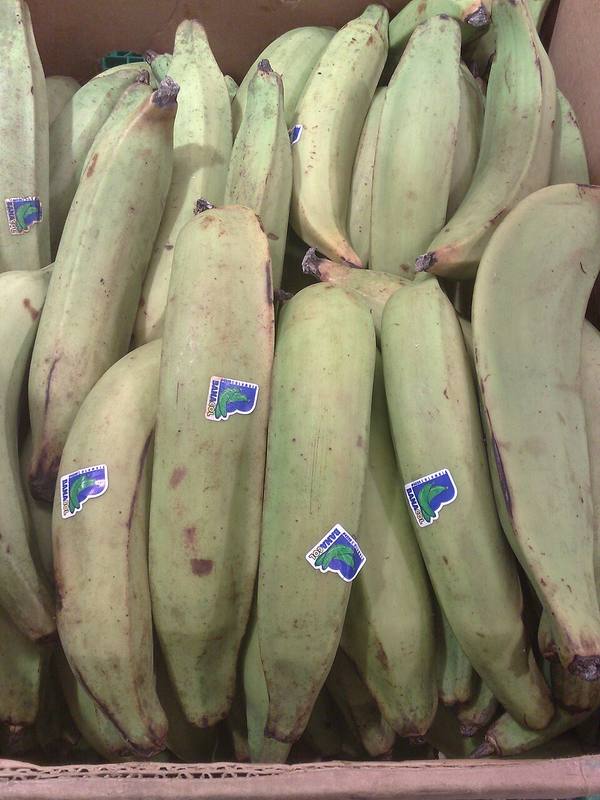 Plantain