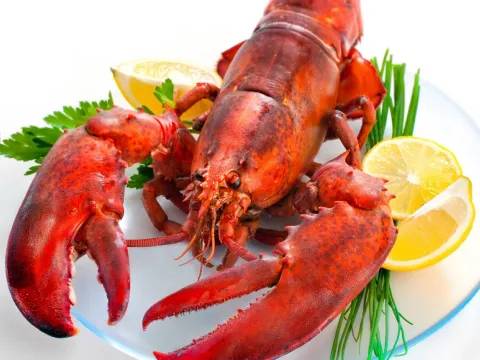 Lobster
