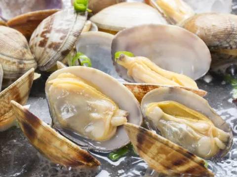 Clams