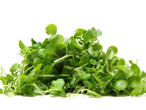 Watercress