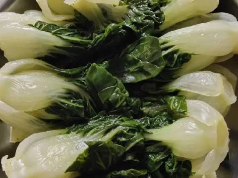 Bok Choy