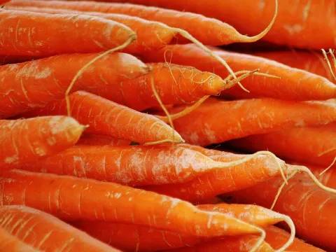 Carrots
