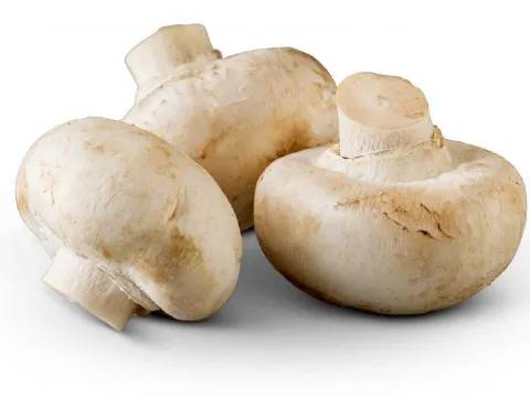 Mushrooms (White)