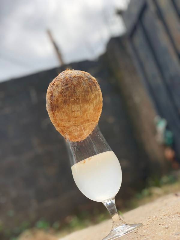 Coconut Water