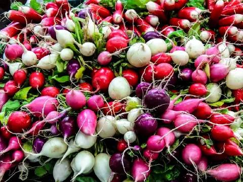 Radish