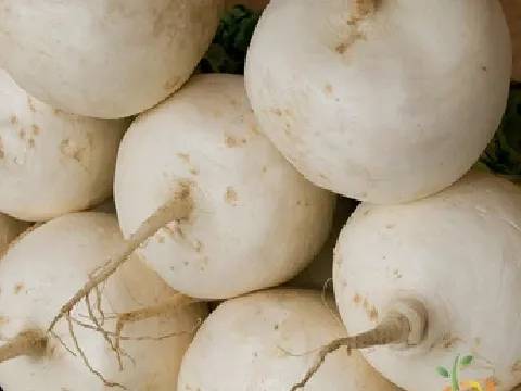 Turnip