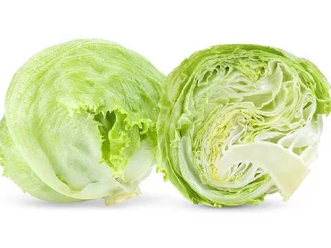 Iceberg Lettuce