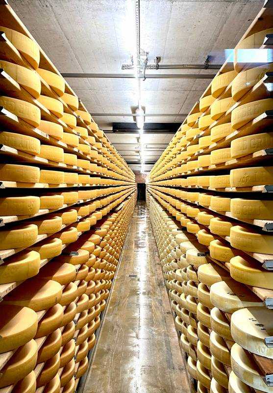 Gruyère